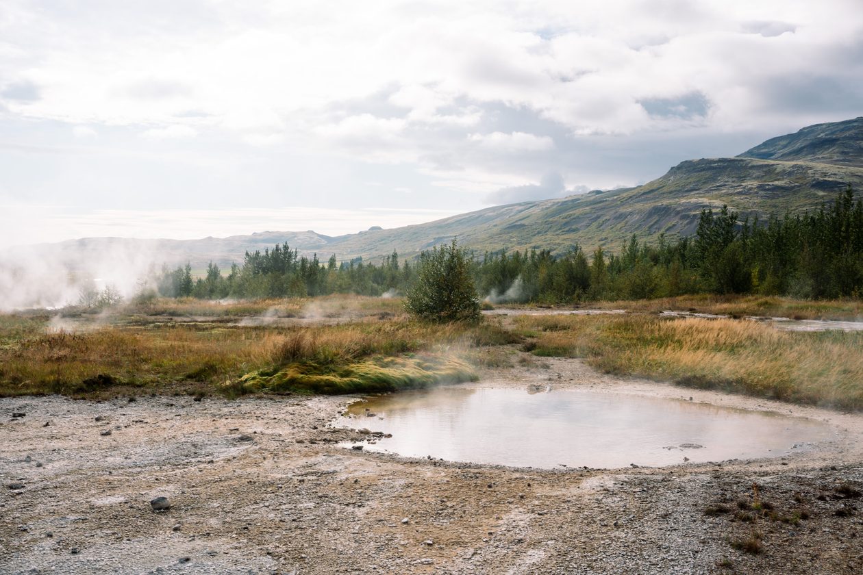 Geysers and steam in a serene Icelandic landscape surrounded by hills and trees.
